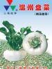 供应温州盘菜—芜菁种子