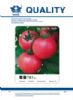 供应秦番703—番茄种子