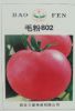 供应毛粉802－番茄种子