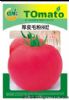 供应厚皮毛粉802-番茄种子