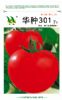 供应华种301—番茄种子