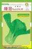 供应绿冠青梗菜（416）—青梗菜种子