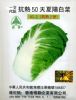 供应抗热50天夏阳白菜（抗热2号）—白菜种子