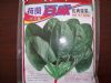供应百威—菠菜种子