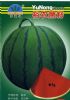 供应裕农黑籽—西瓜种子